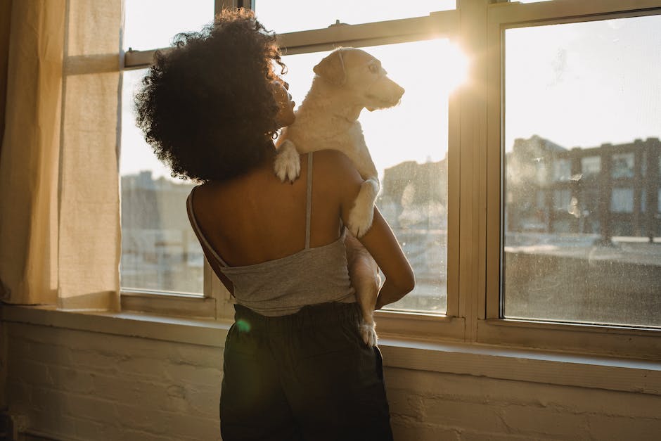 Tipps zur Behandlung von Magen-Darm-Erkrankungen bei Hunden