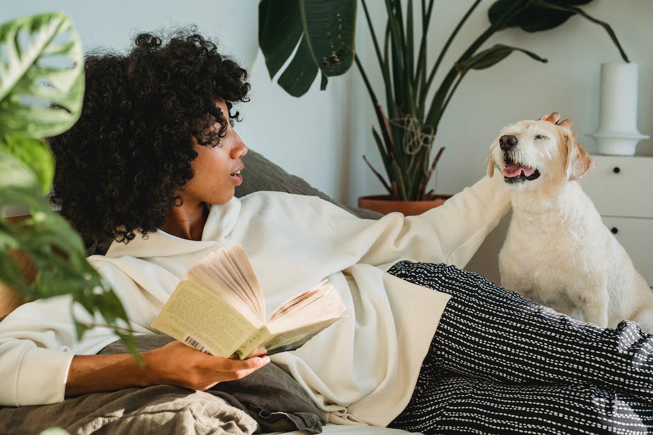 Magen-Darm-Probleme beim Hund behandeln