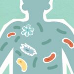 wie lang überleben Magen-Darm-Bakterien?